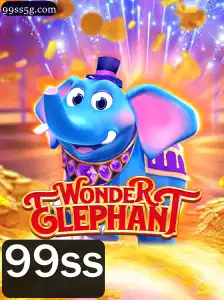Descubra o Fascinante Mundo de WonderElephant